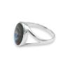 Oval mother-of-pearl abalone and solid silver ring
