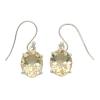 Natural oval citrine earrings in solid silver